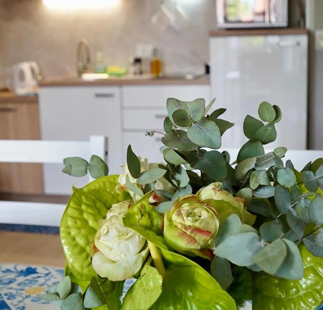 Apartments Ivo Rovinj Croatia